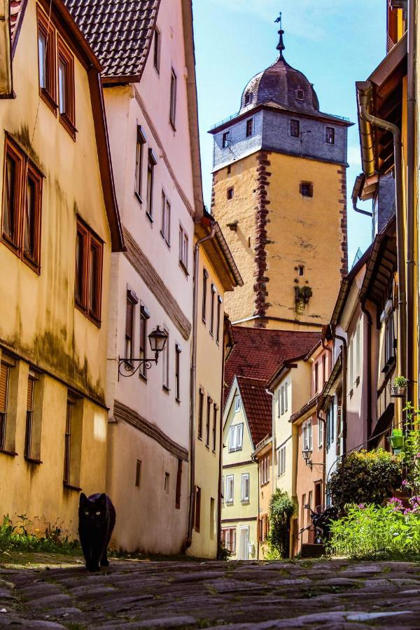 Boutique Hotel Bundschuh 3 Sterne Superior Lohr エクステリア 写真